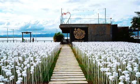 10 000 roses cebu|EVERYTHING you need to know about 10,000 Roses Café in .